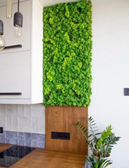 Цветы на подоконнике. 03 Цветы на подоконнике. 03