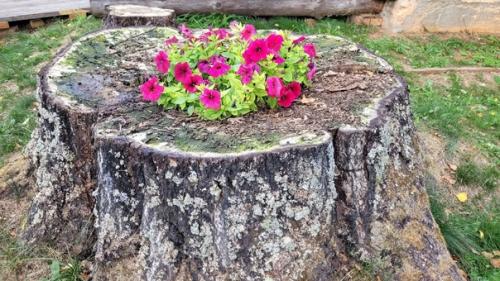 3 сентября ученики 3 в класса посетили замечательное село рябово - родину знаменитых художников братьев Васнецовых. 09