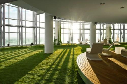 Цветы на подоконнике. 05 Цветы на подоконнике. 05