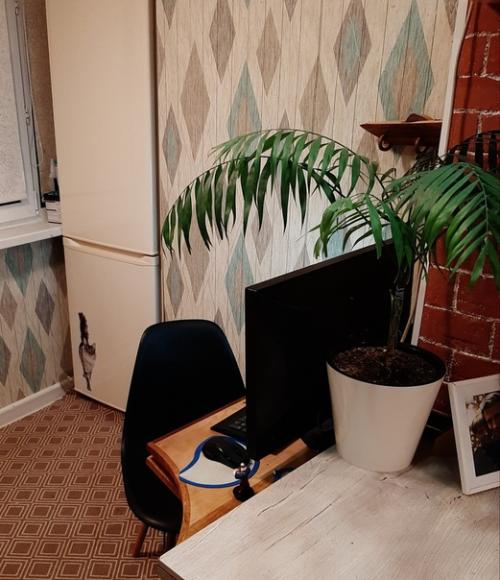 Делали все сами, своими руками и своими силами и с ограниченным бюджетом. 04