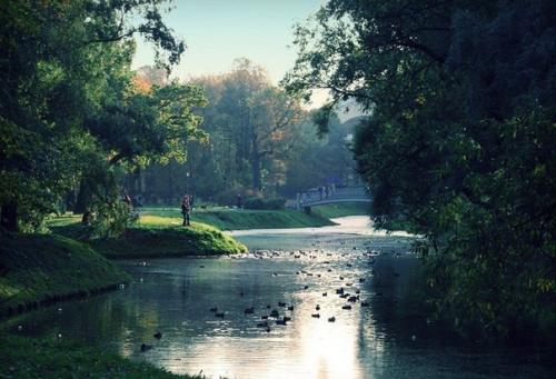 Прогулка по центру города: таврический сад и его окрестности. 03