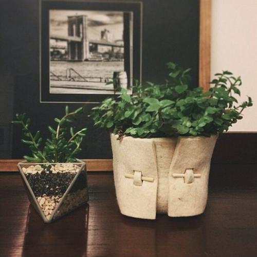 Флорариум в домашнем интерьере. 09