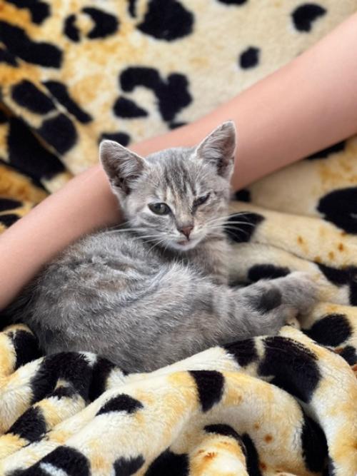 Ровно год назад 16 сентября в нашей семье появилась Соня. 02