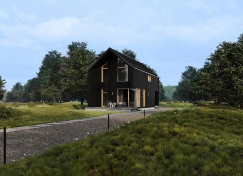 Дом в Тарховке.  Черный барнхаус 152 кв. 02