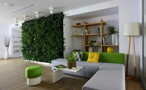 Цветы на подоконнике. 01 Цветы на подоконнике. 01