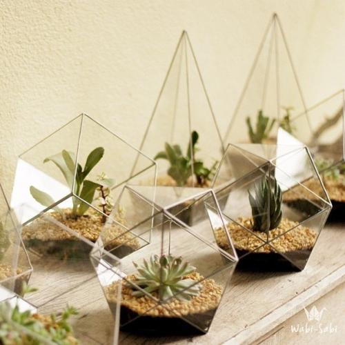 Флорариум в домашнем интерьере. 03