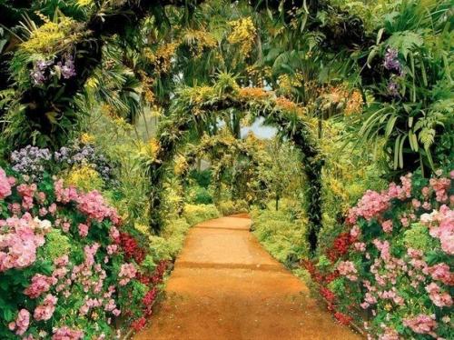 27 самых интересных мест для фотосессий в питере. 01