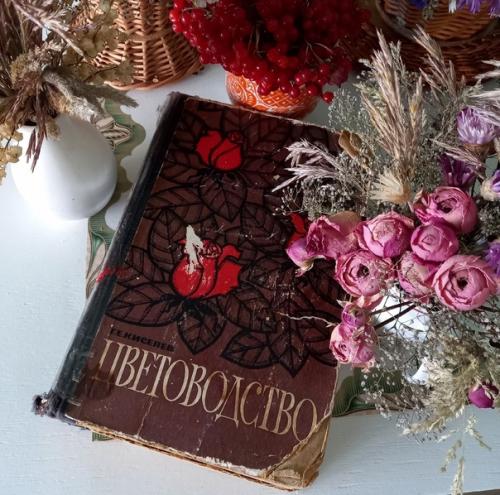 Село, под названием чутырь, расположено вдоль небольшой речушки нязь. 04