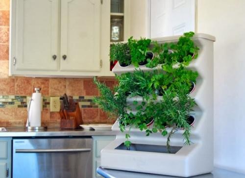 Цветы на подоконнике. 04 Цветы на подоконнике. 04