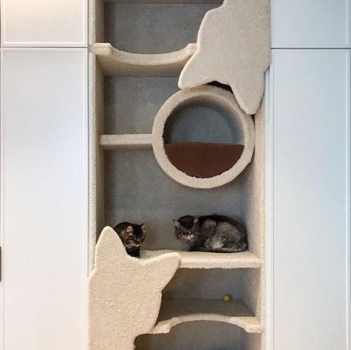 Встроенная когтеточка и домик для котов.