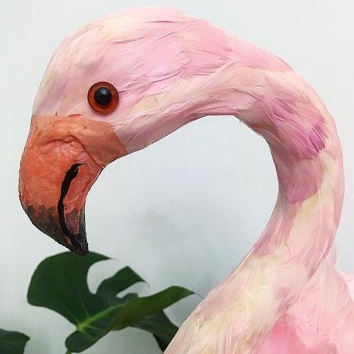 Внимание?  Приобрести можно только почтой! 05