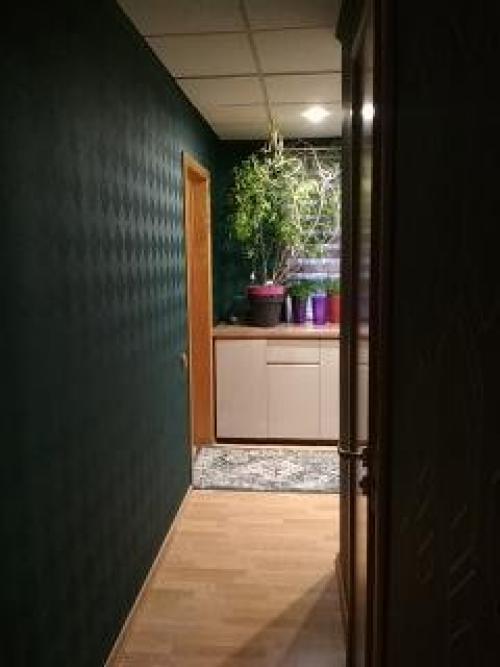 Хотели обновить кухню перед новым годом (только поменять фасады) в итоге поменяли кухню и прихожую зацепили. 05