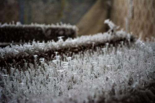 Серию потрясающих снимков заледеневшей квартиры сделала фотограф Анастасия попельская на южной окраине Екатеринбурга. 04