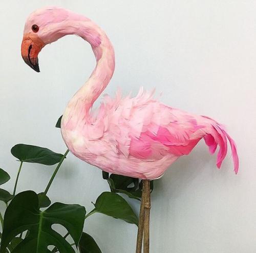 Внимание?  Приобрести можно только почтой! 02