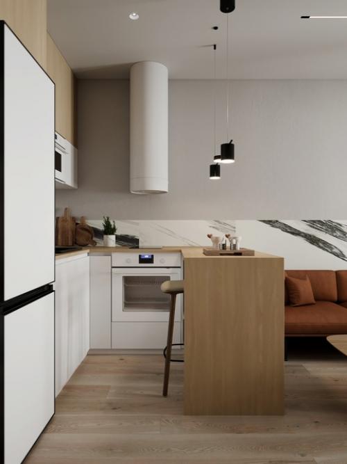 Современный проект 1-комнатной квартиры 50 кв. 04