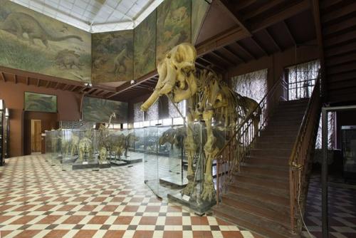 Динозавры, мамонты, автомобили: 11 нехудожественных музеев Москвы. 06