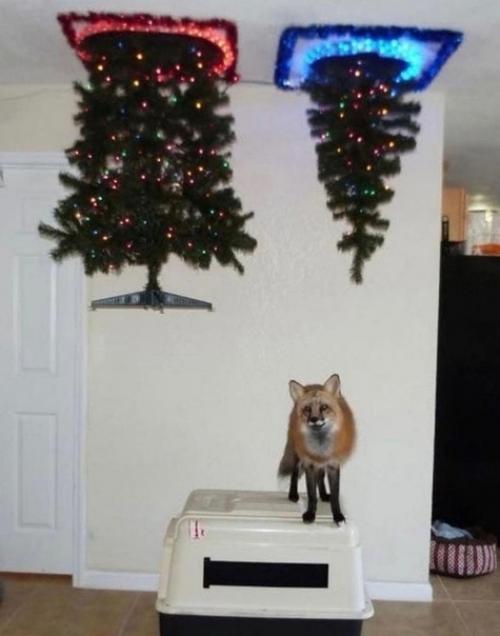 Традиционно для размещения ёлки выбирается пол. 04