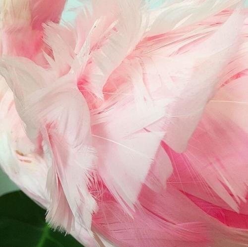 Внимание?  Приобрести можно только почтой! 01