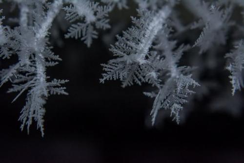 Серию потрясающих снимков заледеневшей квартиры сделала фотограф Анастасия попельская на южной окраине Екатеринбурга. 06