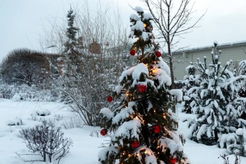 Давеча обнаружила, что согласно буддийской традиции, мой цвет - красный. 09