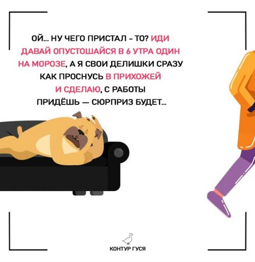 Почему собакам не нужны ваши утренние прогулки? 02