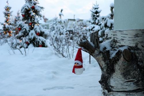 Давеча обнаружила, что согласно буддийской традиции, мой цвет - красный. 01