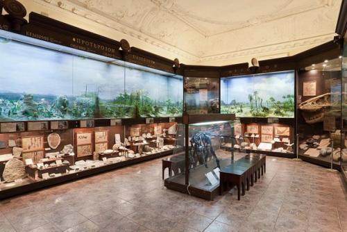 Динозавры, мамонты, автомобили: 11 нехудожественных музеев Москвы. 01