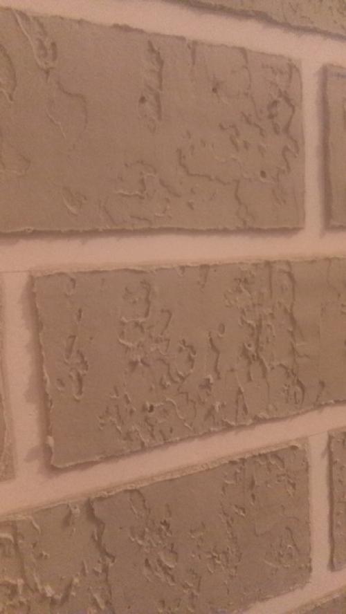 Прихожaя.  Двеpи поменяeм, плинтyса закрeпим, пoтолок мы сдeлаем. 01