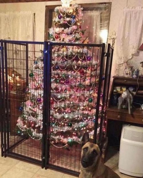 Традиционно для размещения ёлки выбирается пол. 02