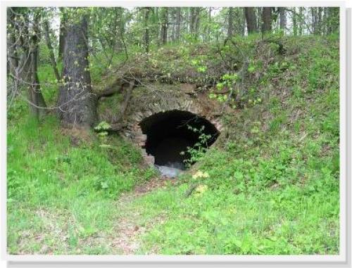 Подмосковные усадьбы гибнут. 03