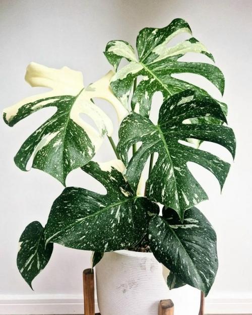 Мамуля сказала мне, что я пока плохой блогер. 02 Мамуля сказала мне, что я пока плохой блогер. 02