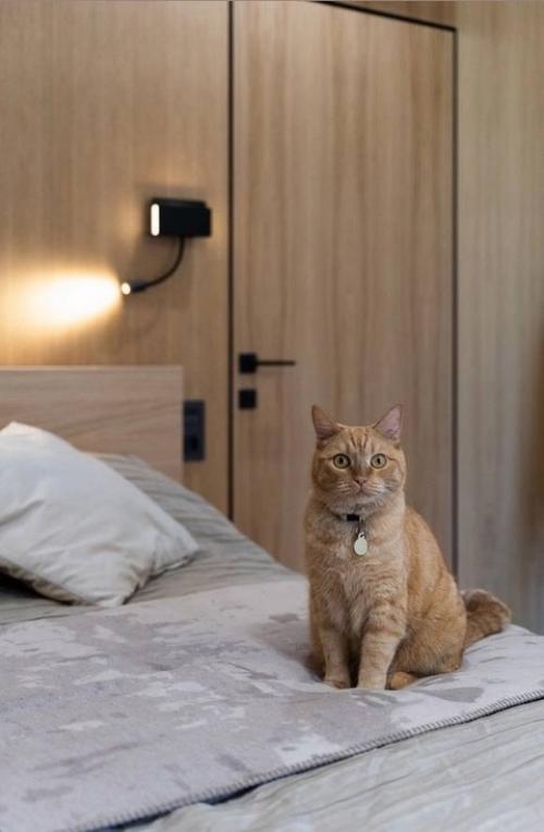 Уютная семейная квартира с базовой отделкой. 07