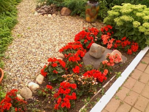 15 однолетников, цветущих все лето. 06