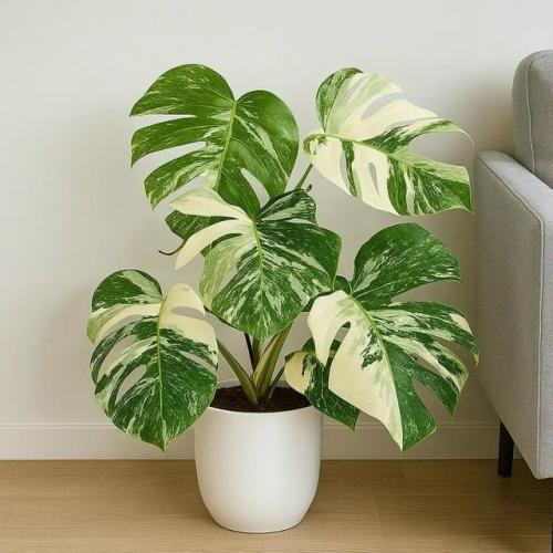 Мамуля сказала мне, что я пока плохой блогер. 01 Мамуля сказала мне, что я пока плохой блогер. 01