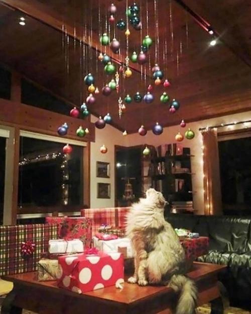 Традиционно для размещения ёлки выбирается пол. 06