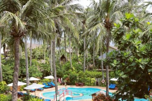 Отель дня: Bamboo Village 4* (Вьетнам, муйне). 05