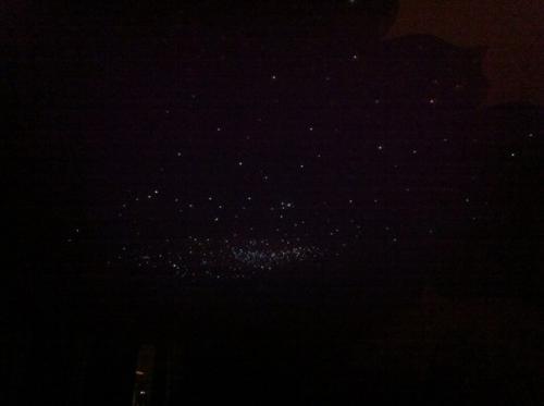 3. срочно, не дорого сдается квартира! 05