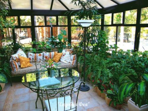 Зимние сады.  Зимний сад - это воплощение недостижимой мечты детства, чтобы всегда было лето. 06