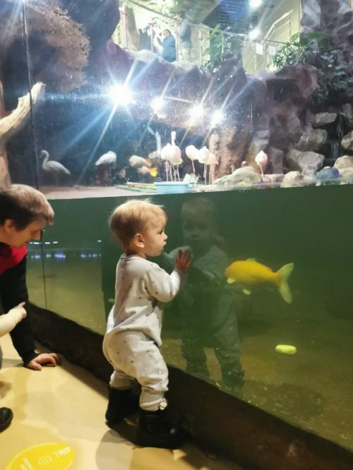 Ранним утром 1 января, варвара Ивановна встала на лыжи, впервые в жизни. 02