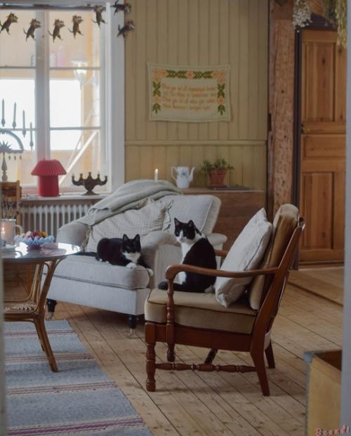 Добро пожаловать в красный деревенский дом в смоланде, окруженный умиротворяющей природой. 01