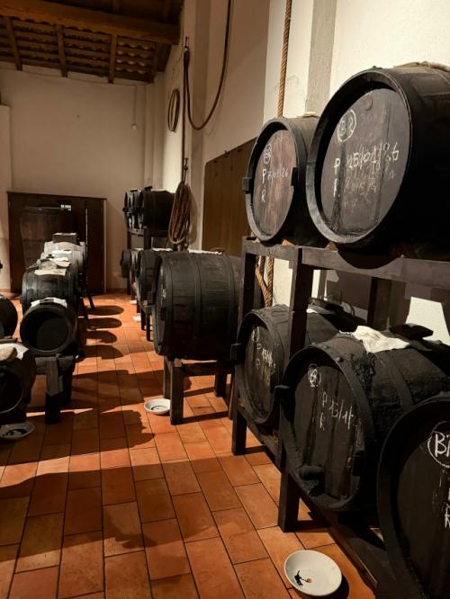 Я в рабочей поездке по италии. 05