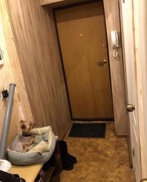 Рубрика до и после. 08