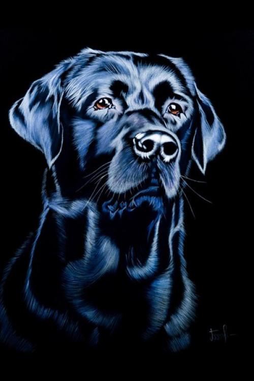 I. C. A. R. E Team - молодой бренд, который заботится о вашей индивидуальности! 06