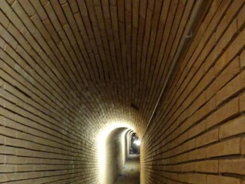 Открытие усадьбы Армянского Принца Манук - бея Мирзояна. 05