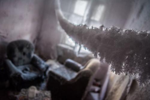 Серию потрясающих снимков заледеневшей квартиры сделала фотограф Анастасия попельская на южной окраине Екатеринбурга. 07