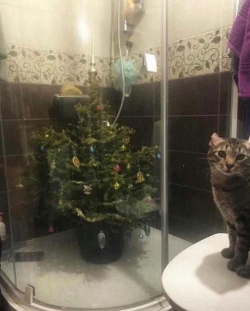 Традиционно для размещения ёлки выбирается пол. 03