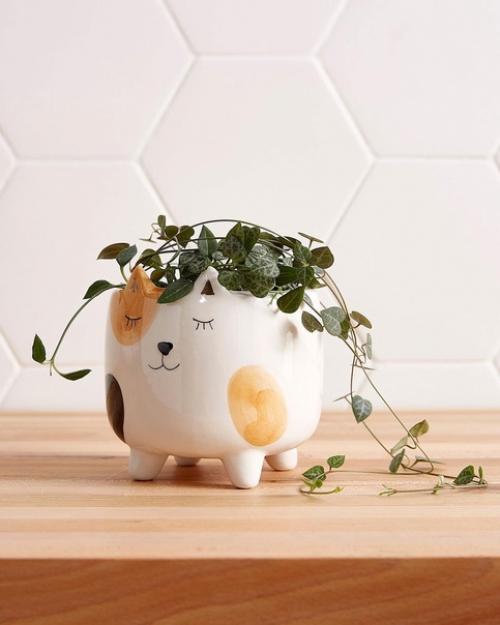 Вы помните головы Барби или кукол, которым вы укладывали волосы? 05