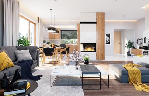 Эскизный проект одноэтажного дома с гаражом. 05