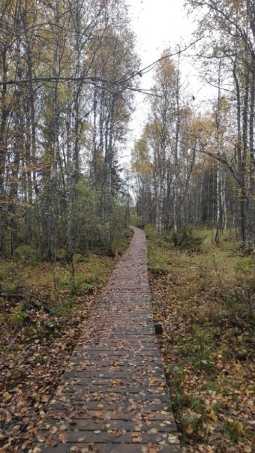 Место, где хочется быть. 01