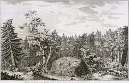 Гром - камень Петра великого. 02